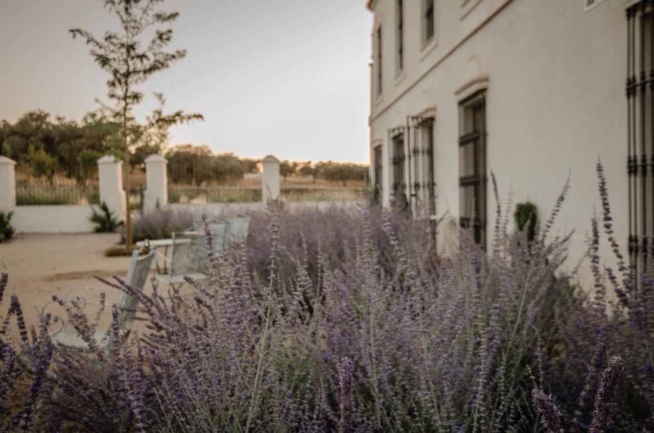 La Dehesa De Don Pedro Hotel โมเนสเตริโอ ภายนอก รูปภาพ